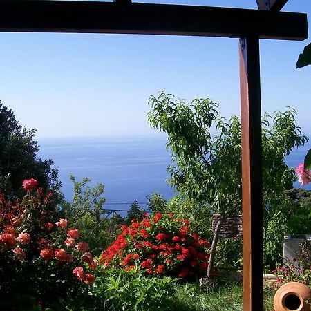 Appartement Τουριστικεσ Επιπλωμενεσ Κατοικιεσ Φροσω Χωριατη à Ágios Kírykos Chambre photo