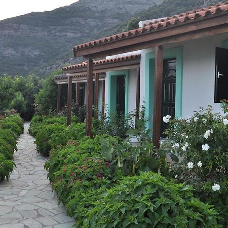 Appartement Τουριστικεσ Επιπλωμενεσ Κατοικιεσ Φροσω Χωριατη à Ágios Kírykos Chambre photo